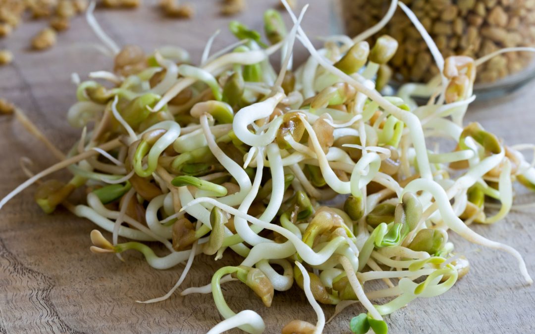 Les graines germées, un atout nutrition