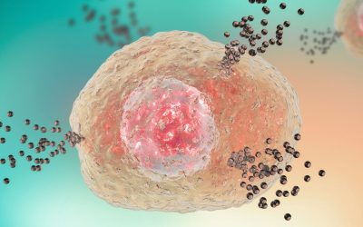 L&rsquo;intolérance à l&rsquo;Histamine
